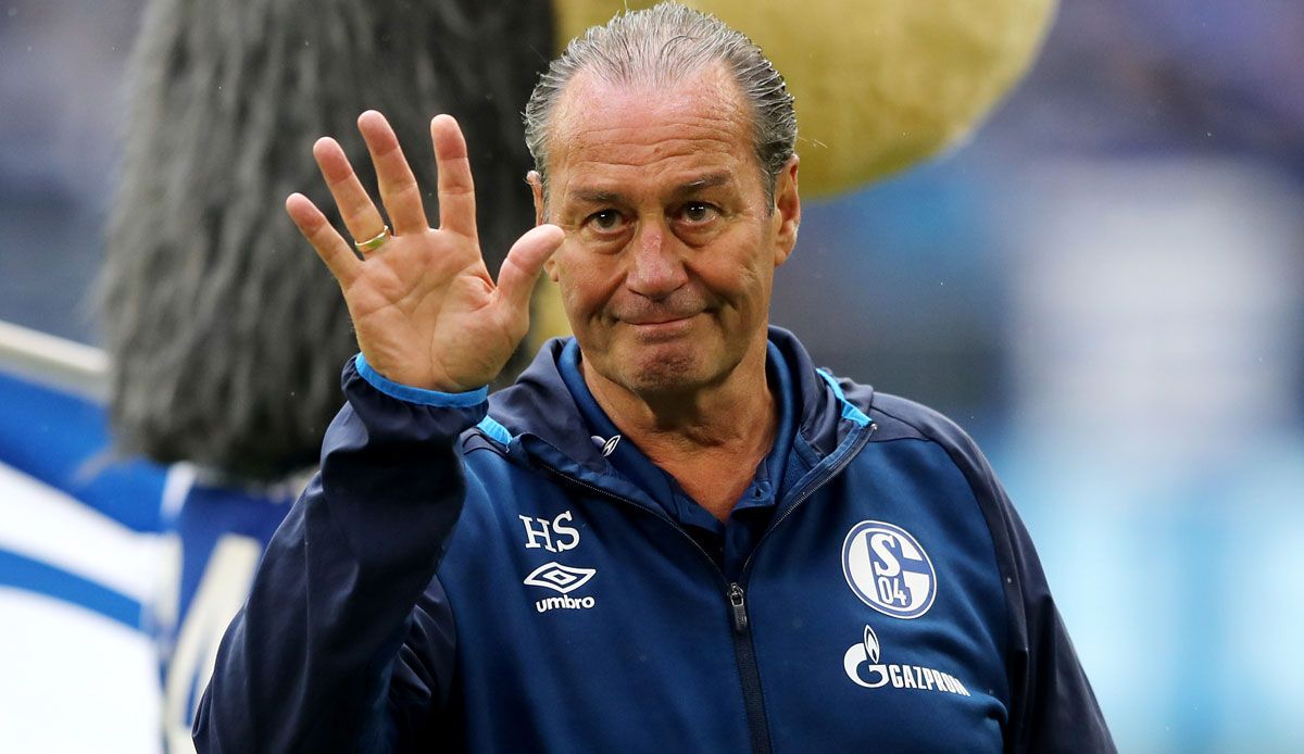 Schalke Manuel Baum Nicht Mehr Trainer Huub Stevens Bernimmt Spox