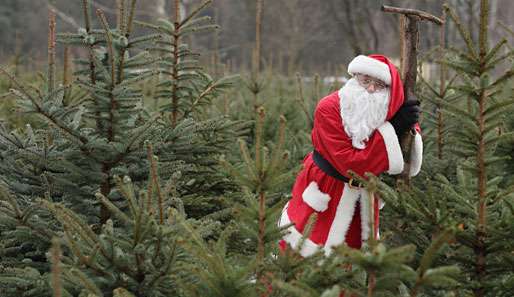 In Serbien stehen noch an jeder Ecke Weihnachtsbäume herum