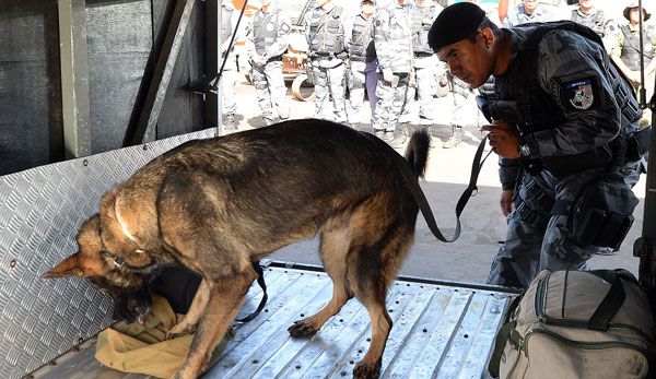 De Mier und Stankovic verurteilt SPOX