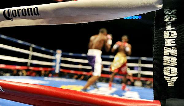 Die deutschen Amateurboxer hat den Länderkampf in Polen gewonnen