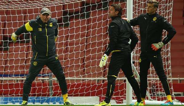 Wer ist beim BVB zukünfitg die Nummer eins: Weidenfeller (M.) oder Langerak (r.)?