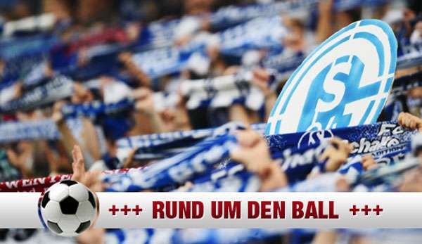 Schalke 04