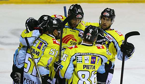 Die Pinguine dürfen sich über einen neuen Mitspieler freuen
