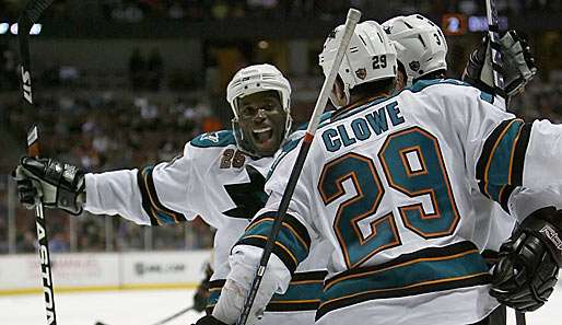 Die San Jose Sharks sind wieder das punktbeste Team der Liga