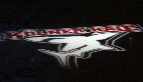 Die Kölner Haie empfangen am 5. Spieltag Spitzenreiter Straubing