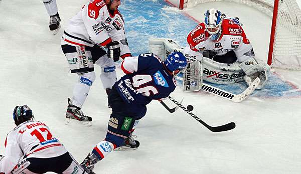 Können die Adler auch bei den Eisbären bestehen?
