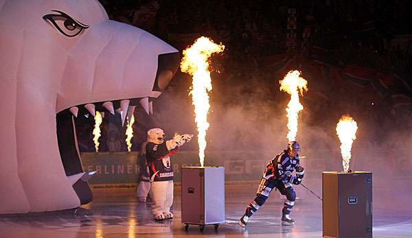 Die Eisbären Berlin empfangen Straubing