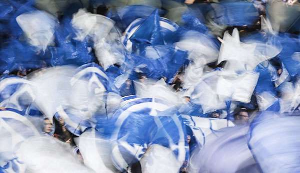 Während des Spiels gegen Schalke war ein Darmstadt-Fan zusammengebrochen