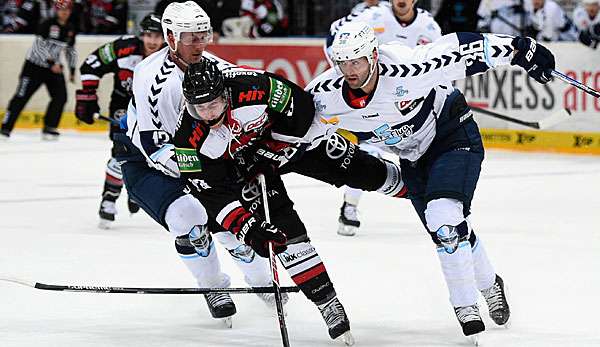 Die Kölner Haie treffen auf den direkten Konkurrenten aus Hamburg