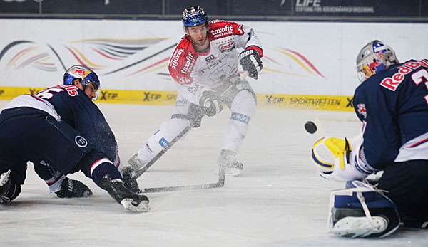 Petr Pohl kommt von den Eisbären Berlin nach Ingolstadt 