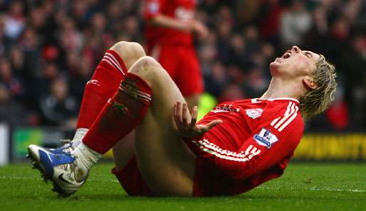 Fernando Torres erzielte in dieser Saison bisher acht Tore für den FC Liverpool