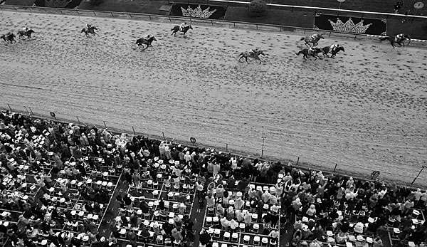 Beim Galopp-Klassiker Preakness Stakes sind zwei Pferde gestorben 