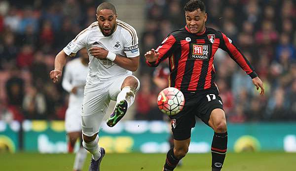 Ashley Williams ist sowohl bei Swansea als auch in der walisischen Nationalmannschaft Kapitän