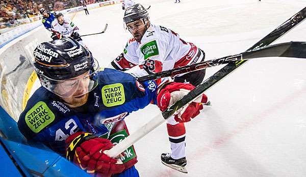 Die Kölner Haie empfangen am 29. Spieltag die Düsseldorfer EG zum Derby