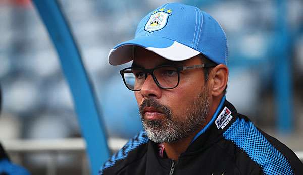 David Wagner kann sich einen Wechsel in die Bundesliga vorstellen