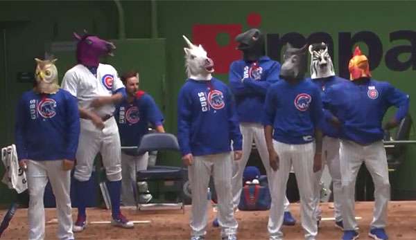 Die Cubs tanzten mit Tiermasken während einer Regenpause