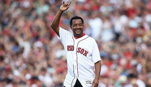 Der Sohn von Pedro Martinez hat bei den Tigers unterschrieben