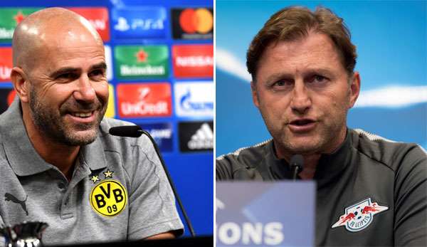 Peter Bosz und Ralph Hasenhüttl vor dem vierten CL-Spieltag