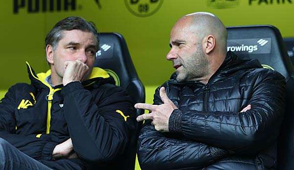 Michael Zorc dementiert Ultimatum für Peter Bosz