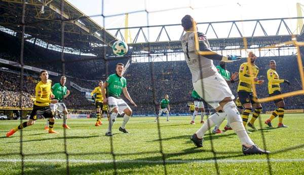 Zu spät: Torhüter Tschauner kann den Ball auf dem Weg ins Tor nicht mehr stoppen.