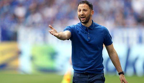 Domenico Tedesco weiß um den harten Konkurrenzkampf im Schalker Kader. 