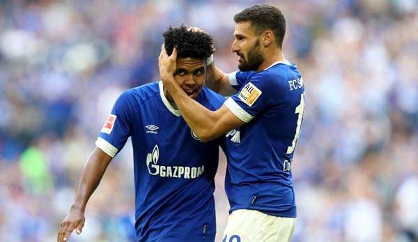 Champions League: FC Schalke 04 gegen FC Porto heute live: TV, Livestream, Liveticker.