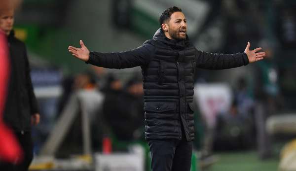 Domenico Tedesco ist mit Schalke weiter auf der Suche nach dem ersten Punkt.