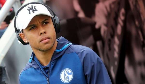 Weston McKennie vom FC Schalke 04 hat großes Lob von David Wagner erhalten.