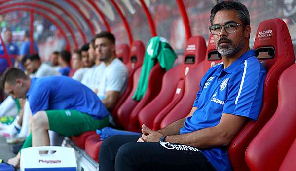 David Wagner ist seit dieser Saison Trainer vom FC Schalke 04.