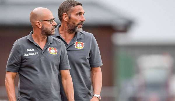 Hendrie Krüzen arbeitet seit vielen Jahren als Co-Trainer von Peter Bosz.