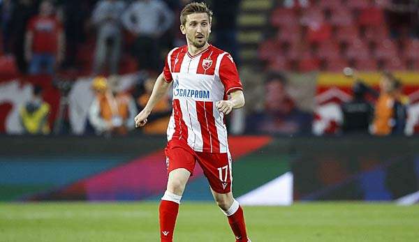 Marko Marin und Roter Stern Belgrad stehen in der Gruppenphase der Champions League.