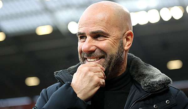 Peter Bosz steht angeblich vor einer Vertragsverlängerung bei Bayer Leverkusen.