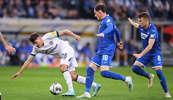 Sebastian Rudy fühlt sich in Hoffenheim deutlich wohler als bei Schalke.