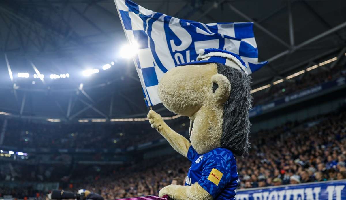 Am Samstag könnt ihr ein Topspiel der Knappen aus den letzten Jahren sehen.
