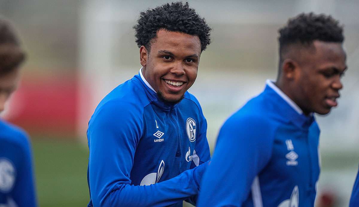 Leistungsträger beim FC Schalke 04: Weston Mckennie.