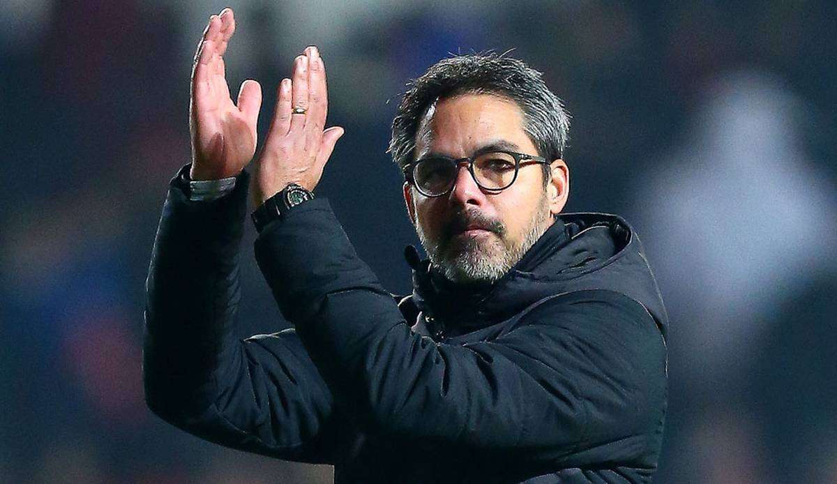 Ex-Schalker David Wagner ist Trainer der Young Boys Bern.