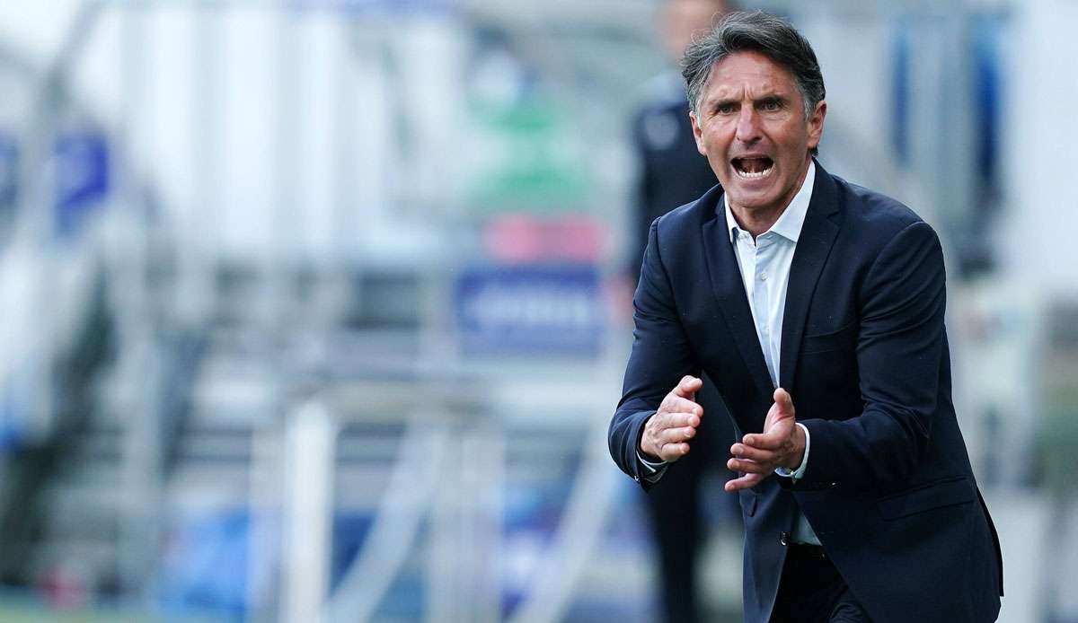 Bruno Labbadia hat mit Hertha BSC zuletzt Bayer Leverkusen geschlagen.