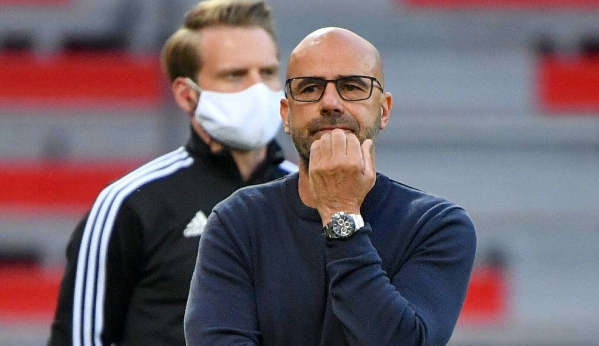 Peter Bosz ist seit Dezember 2018 Trainer von Bayer Leverkusen.