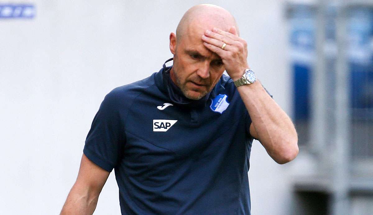 Der entlassene Alfred Schreuder wurde erst im Sommer 2019 von Hoffenheim verpflichtet.