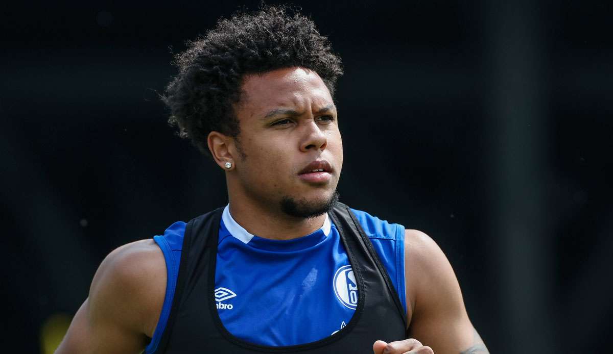 Weston McKennie könnte zukünftig für die Hertha auflaufen.