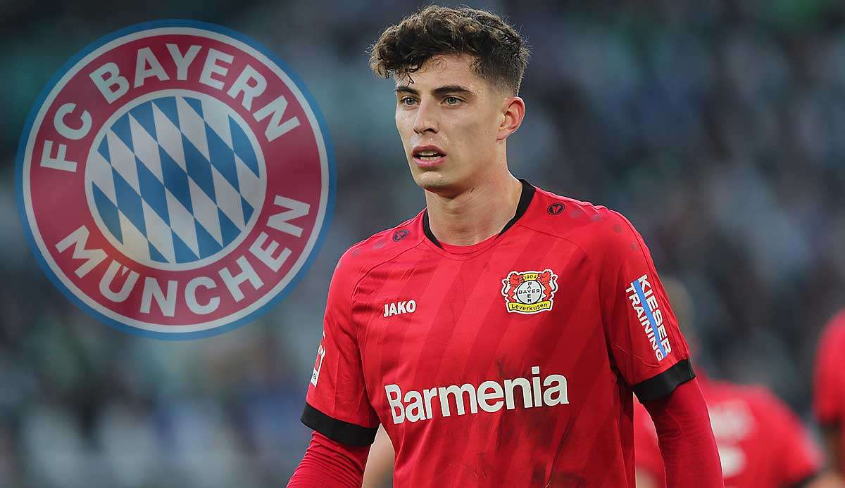 Galt lange als Objekt der Begierde beim FC Bayern: Bayer Leverkusens Kai Havertz.