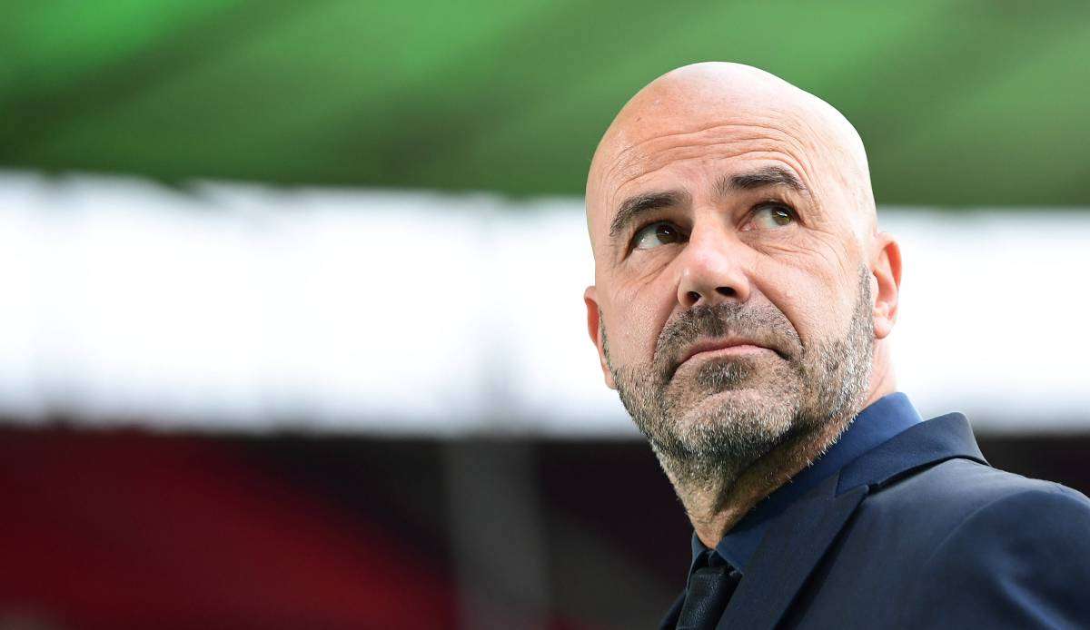 Peter Bosz wurde von Weltmeister Thomas Berthold kritisiert.