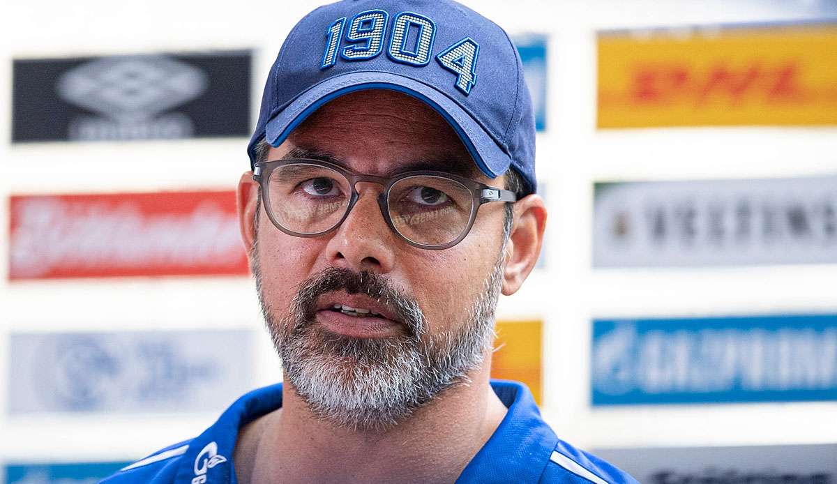 David Wagner will Schalke 04 in der kommenden Saison zurück auf die Erfolgsspur führen.