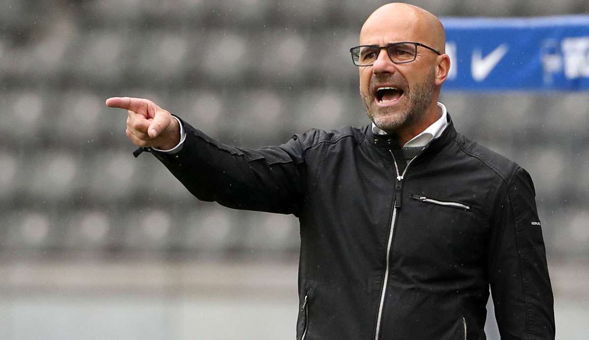 Peter Bosz hofft auf einen Titel mit Bayer Leverkusen.