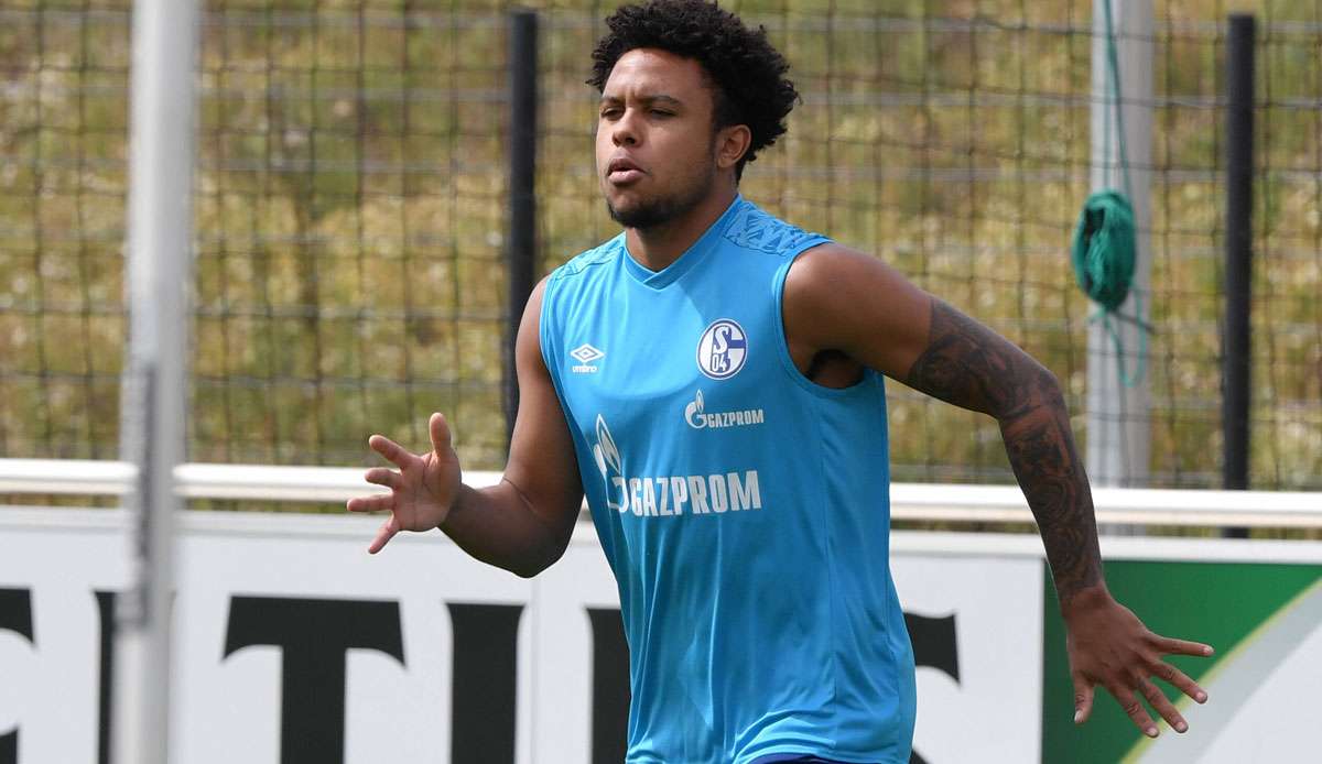 Weston McKennie könnte Schalke 04 noch in diesem Transferfenster verlassen.