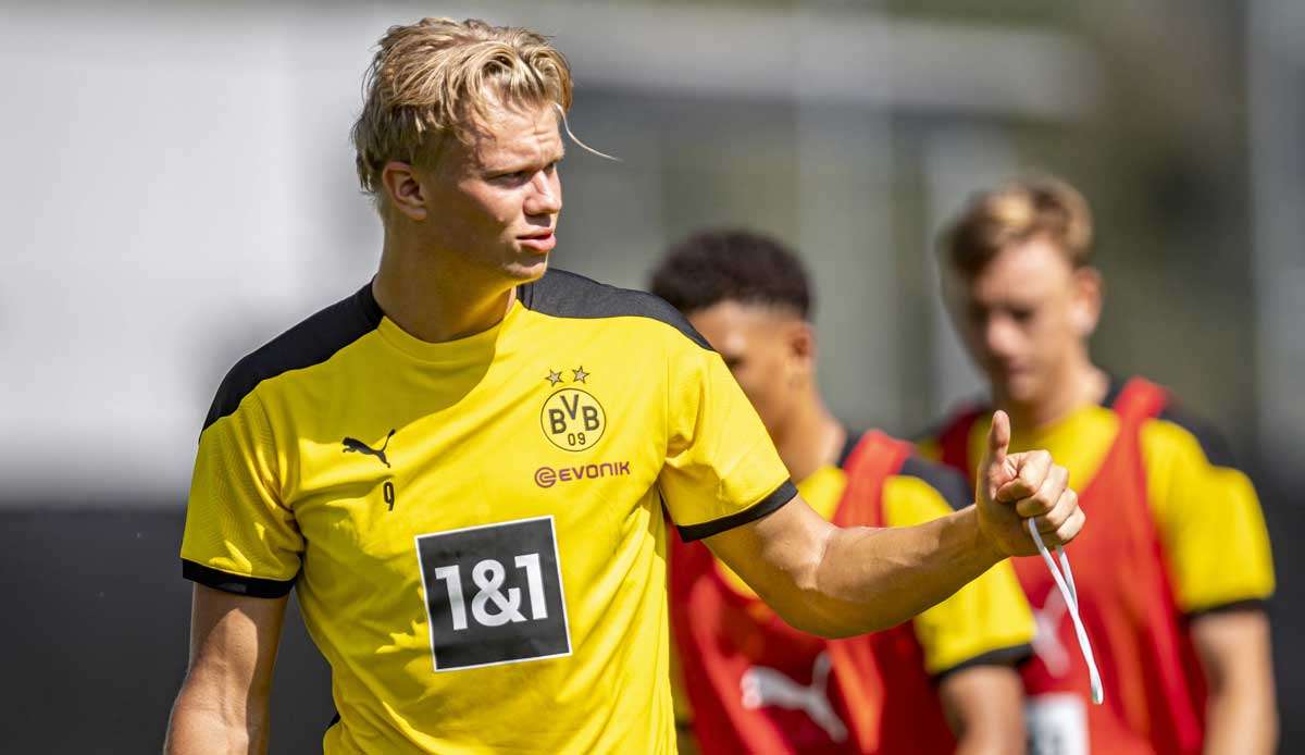 Erling Haaland traf in der vergangenen Bundesliga-Saison in 15 Spielen 13-mal.