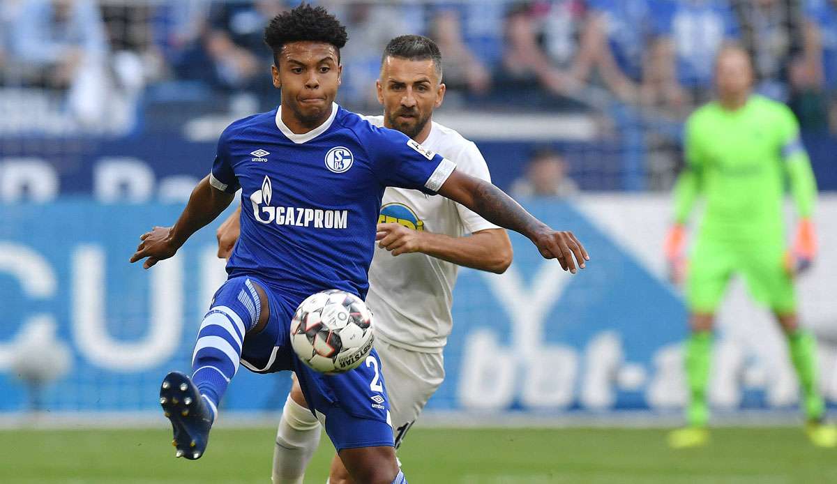 Weston McKennie soll vor einem Wechsel zu Juventus Turin stehen - Vedad Ibisevic könnte es derweil nach Gelsenkirchen ziehen.