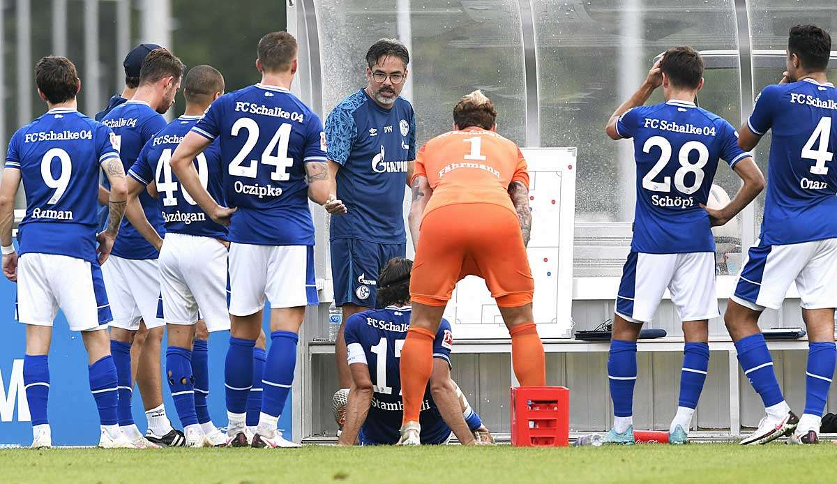 Hat Probleme zu lösen beim FC Schalke 04: Trainer David Wagner.