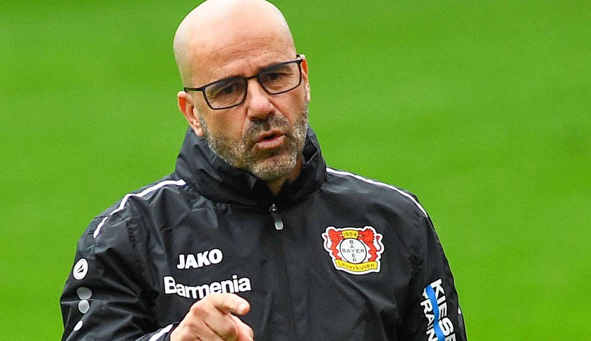 Peter Bosz fordert nach dem Abgang von Kai Havertz mehr Qualität im Kader.