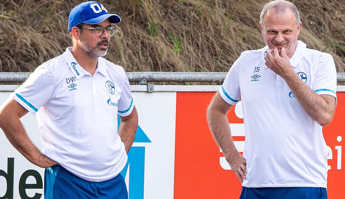 David Wagner ist auf Schalke entlassen worden.